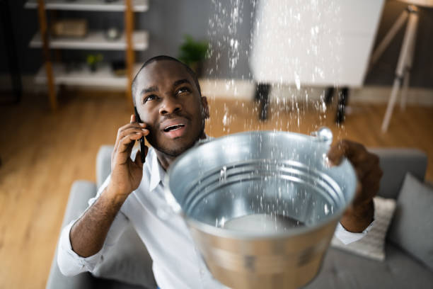 Best Basement water damage restoration  in Powers Lake, WI
