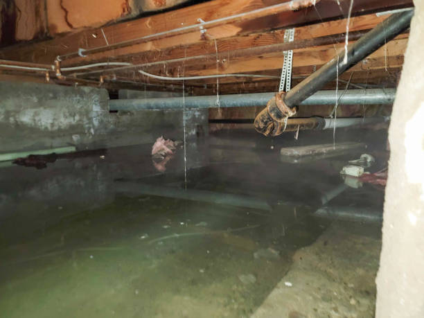 Best Ceiling water damage repair  in Powers Lake, WI