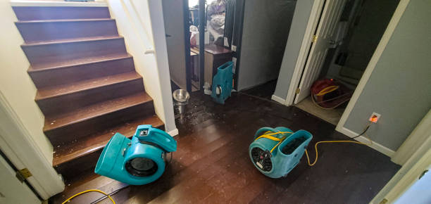 Best Water damage cleanup near me  in Powers Lake, WI