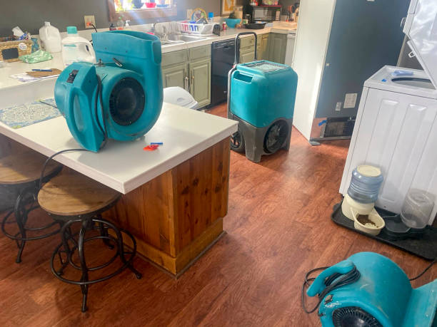 Best Fire Damage Restoration  in Powers Lake, WI
