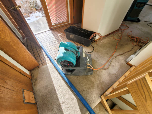 Best Water damage contractors near me  in Powers Lake, WI