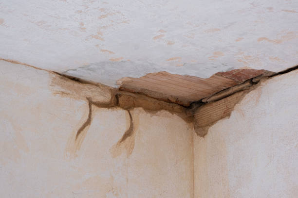 Best Commercial water damage restoration  in Powers Lake, WI