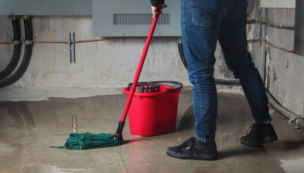 Best Water damage restoration near me  in Powers Lake, WI