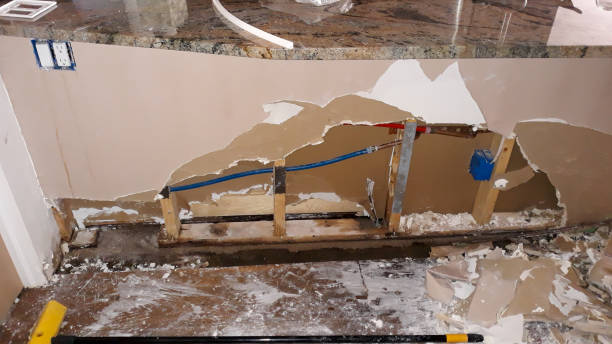 Best Carpet water damage restoration  in Powers Lake, WI