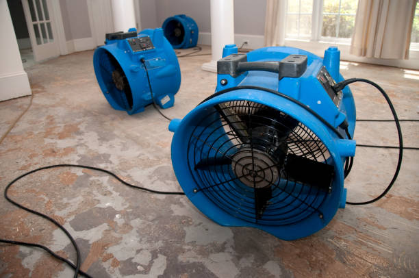 Sewage cleanup and water damage restoration in WI