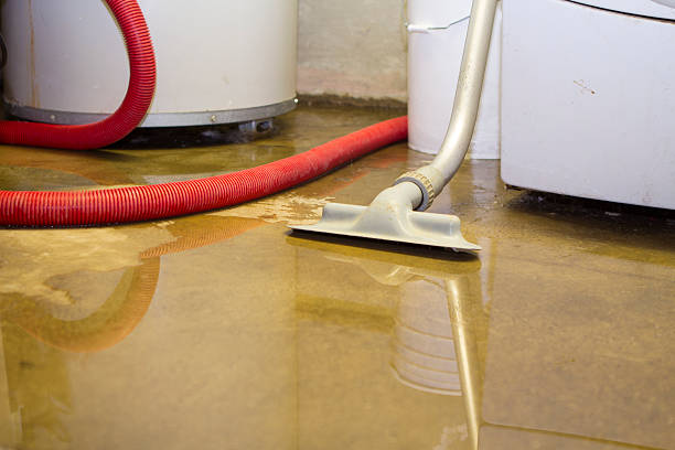 Best 24/7 water damage repair  in Powers Lake, WI