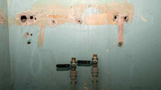 Best Professional water damage repair  in Powers Lake, WI