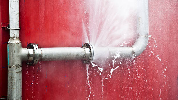 Best Mold removal after water damage  in Powers Lake, WI